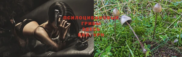 apvp Волоколамск
