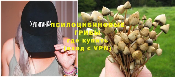 дурь Володарск