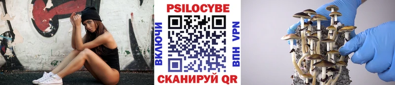 Купить закладки  Тутаев  Галлюциногенные грибы GOLDEN TEACHER 